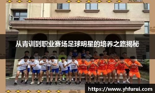 从青训到职业赛场足球明星的培养之路揭秘